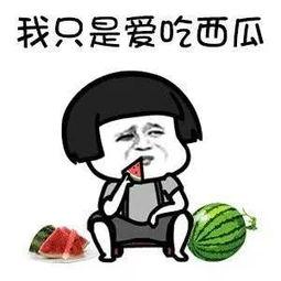 娱乐吃瓜吐槽,吃瓜吐槽，揭秘明星幕后故事