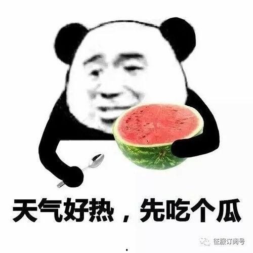 娱乐吃瓜酱谐音网名怎么取